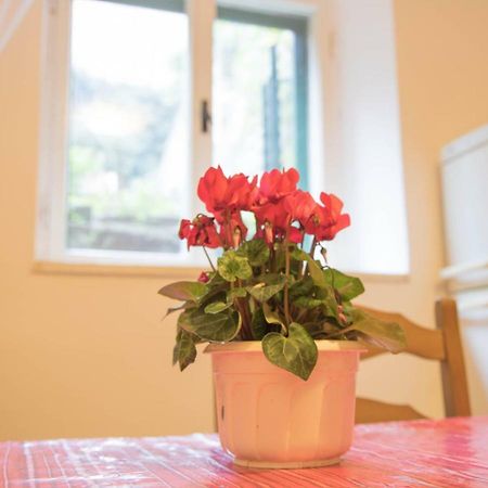 Apartman Juricic Labin  Exterior photo